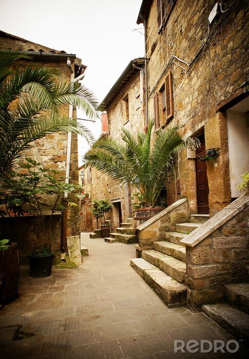 Poster Italienische Gasse mit Palmenblättern