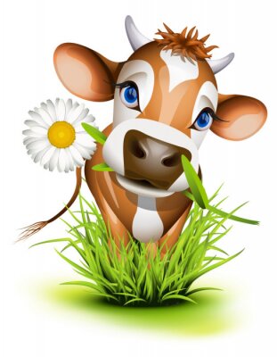 Jersey-Kuh im Gras