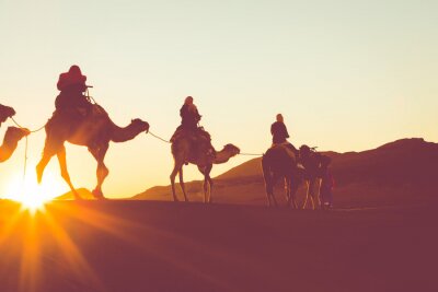 Poster Kamele in der Wüste in Karawane