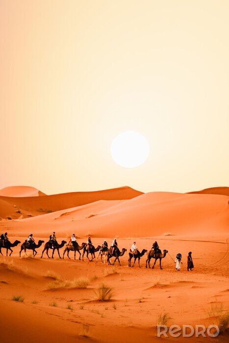 Poster Karawane in der Wüste Sahara