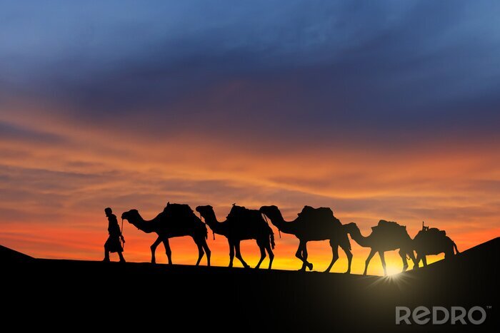 Poster Karawane vor dem Hintergrund des Sonnenuntergangs
