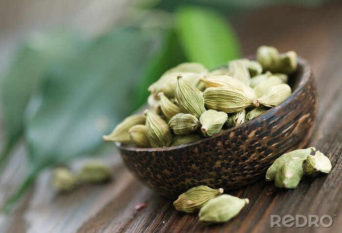 Poster Kardamom in der Schale