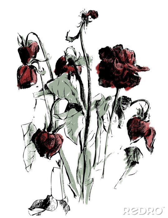 Poster Karminrote Rosen in Blüte