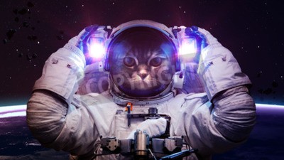 Poster Katze Astronaut erkundet den Weltraum