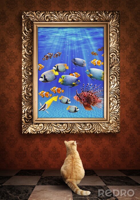 Poster Katze beobachtet Fisch