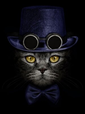 Poster Katze mit Hut