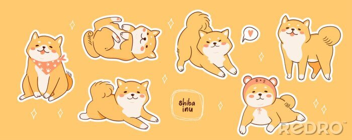 Poster Kawaii Shiba Inu dogs in various poses. Hand drawn sticker vector set. All elements are isolated