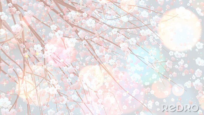 Poster Kirschblüte Anime