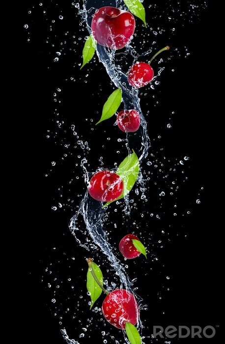 Poster Kirsche und Blätter in Wasser