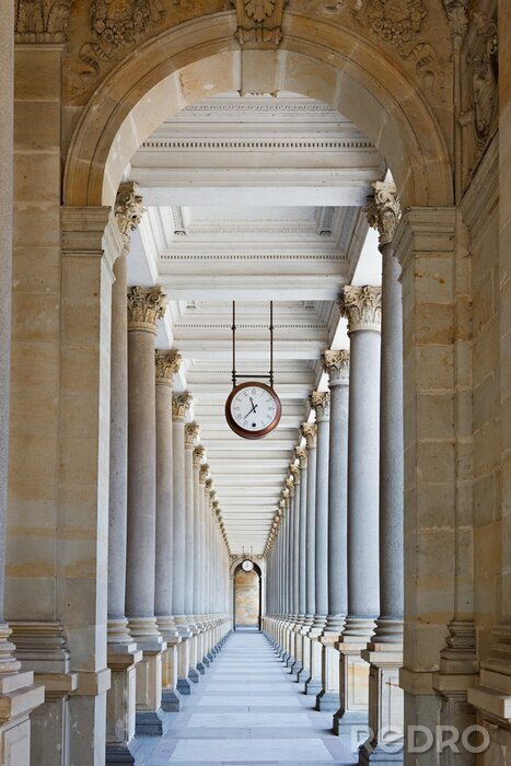 Poster Klassische Säuen im tschechischen Palast