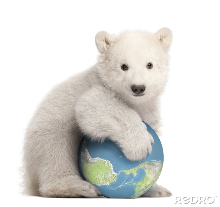 Poster Kleiner Bär und ein Globus