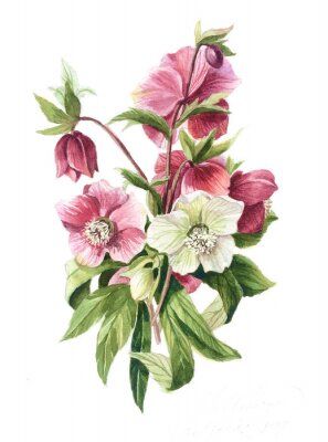 Poster Kleiner Strauß aus weißen und rosa Blumen