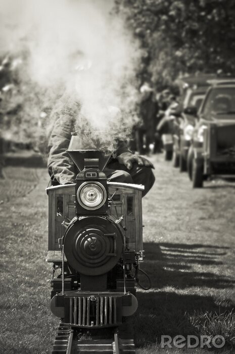 Poster Kleinmodell von Dampfzug