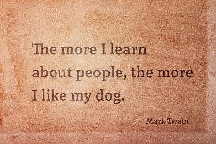 Poster Kluges Zitat über Menschen und Tiere