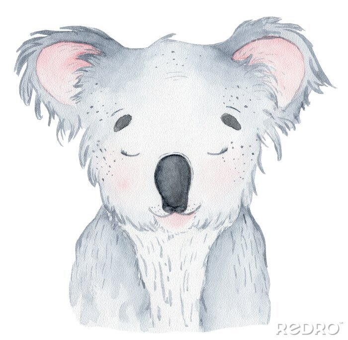 Poster Koala mit schielenden Augen in Pastellfarben