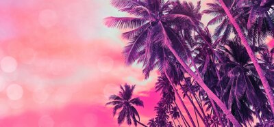 Poster Kokosnusspalmen am exotischen Strand