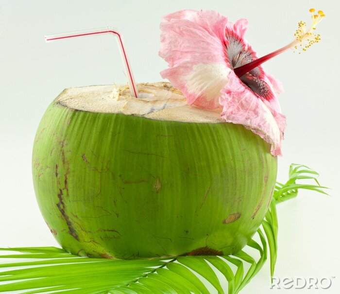 Poster Kokosnusswasser-Cocktail