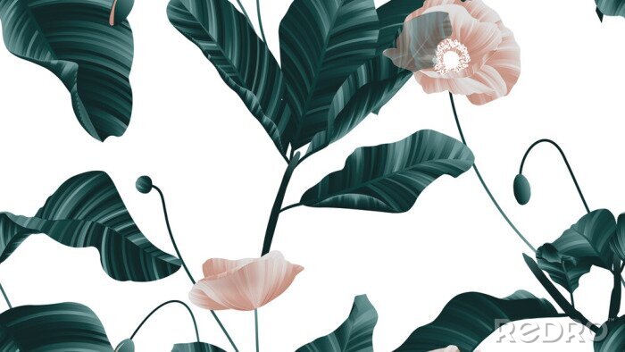 Poster Komposition aus rosa Mohnblumen