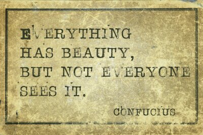 Poster Konfuzius über das Thema Schönheit