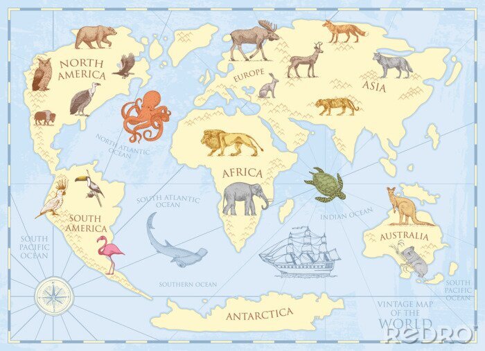 Poster Kontinente Grafik mit der Weltfauna