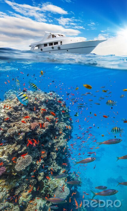 Poster Korallenrifflandschaft und Schiff