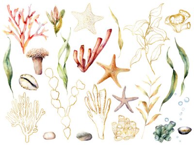 Korallenriffpflanzen im Boho-Stil