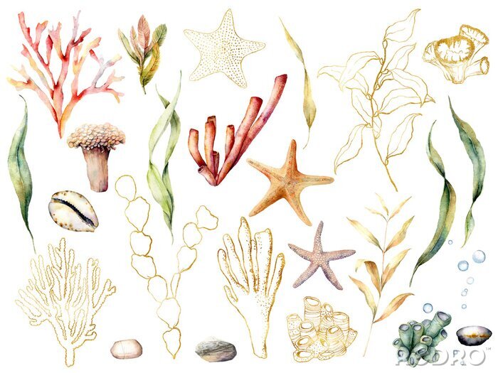 Poster Korallenriffpflanzen im Boho-Stil