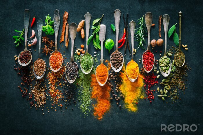 Poster Kräuter und Gewürze für das Kochen auf dunklem Hintergrund