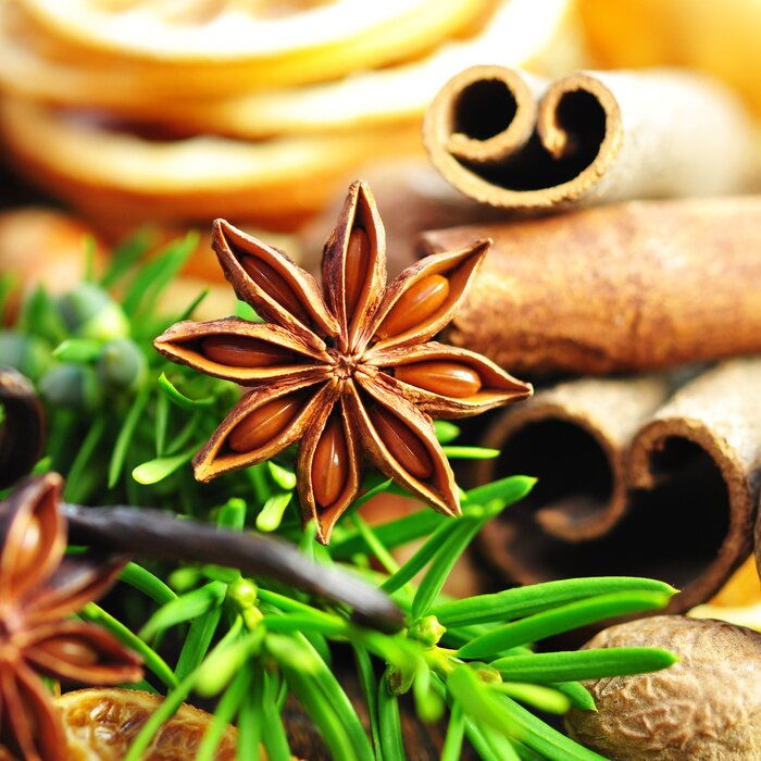 Poster Kräuter und Gewürze Komposition