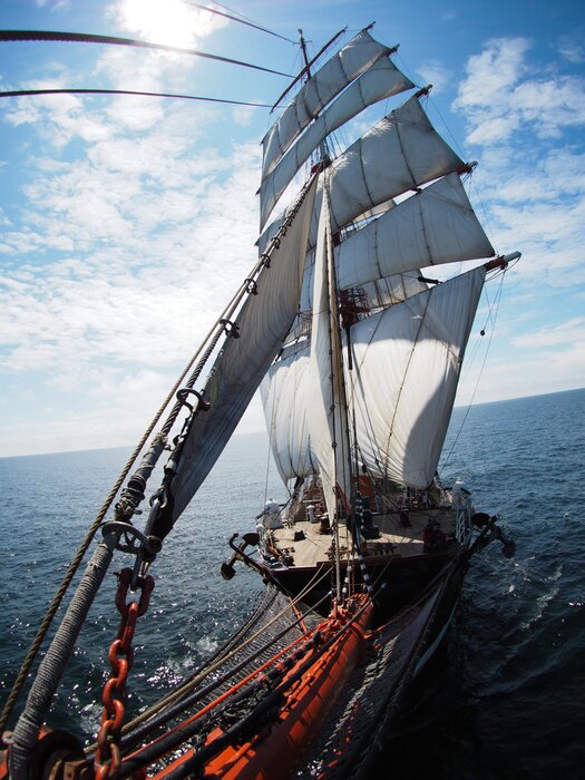 Poster Kreuzfahrt auf dem Meer