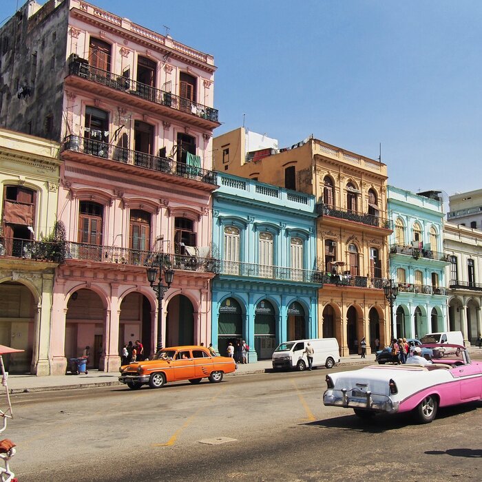 Poster Kuba mit Autos