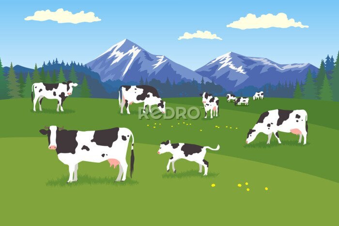 Poster Kühe für Kinder auf einer grünen Weide
