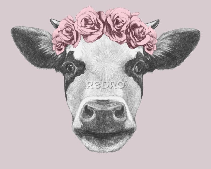 Poster Kuh mit Blumenkranz auf rosa Hintergrund