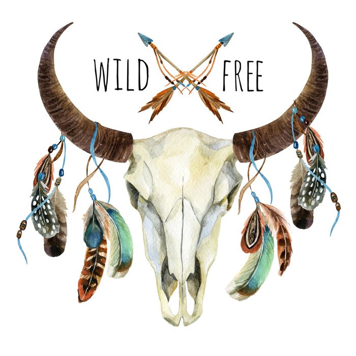 Poster Kuhschädel. Tier Schädel mit Federn