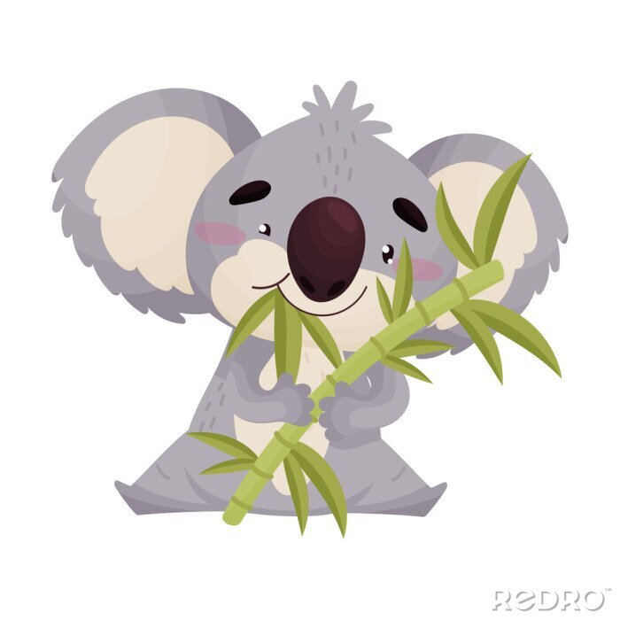 Poster Lächelnder Koala frisst Bambusblätter