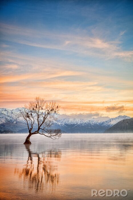 Poster Lake Wanaka Otago New Zealand