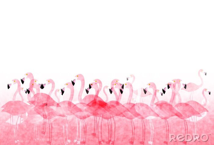 Poster Land der Flamingos