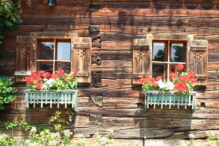 Poster Landhaus mit Fensterläden