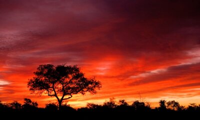 Poster Landschaft Afrika Sonnenuntergang