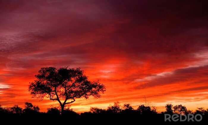 Poster Landschaft Afrika Sonnenuntergang