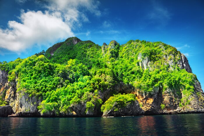 Poster Landschaft der baumbestandenen Insel