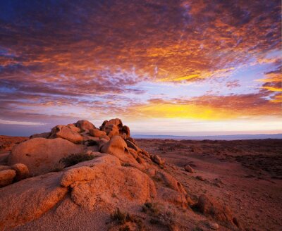 Poster Landschaft der Wüste Gobi