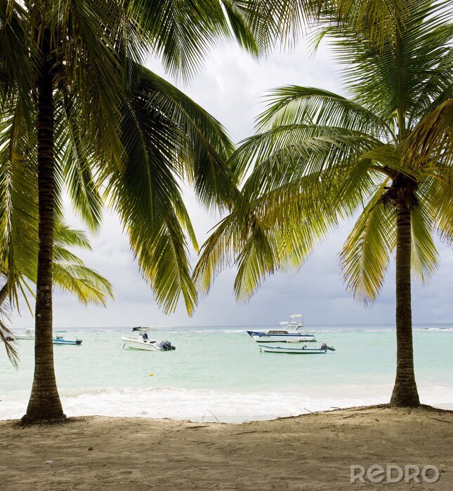 Poster Landschaft des Karibikstrandes