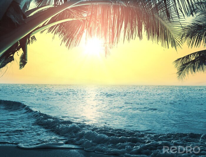 Poster Landschaft des tropischen Strandes unter den Palmen