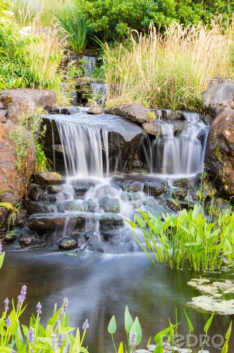 Poster Landschaft eines kleinen Wasserfalls