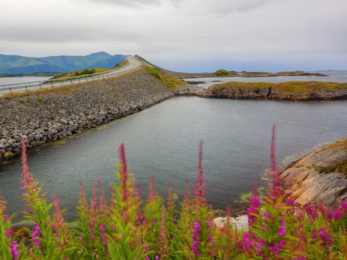 Poster Landschaft mit dem Atlantic Way
