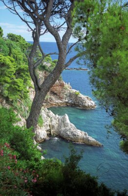 Poster Landschaft mit der kroatischen Küste