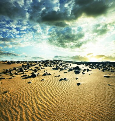 Poster Landschaft mit einem Wüstenhang