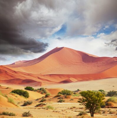 Poster Landschaft mit einem Wüstenhügel
