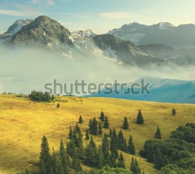 Poster Landschaft mit einer Berglichtung